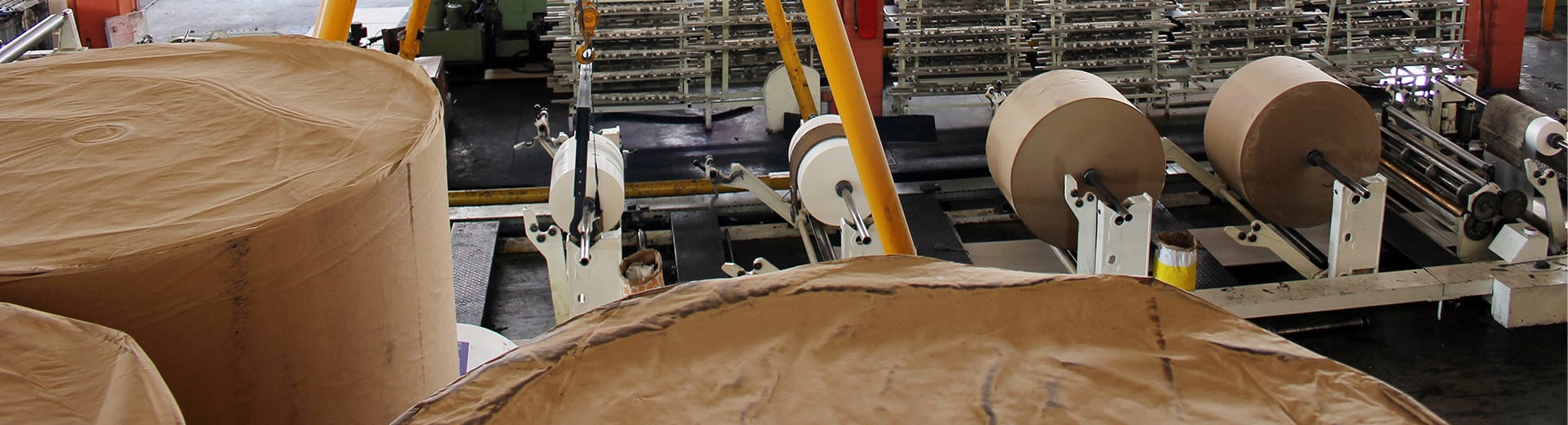 Pulp & Paper Industry